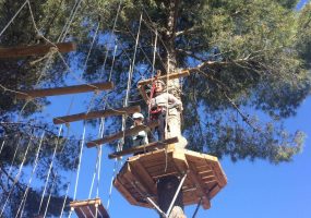 e9cc160a-05fe-4714-bb94-d8414dbe045a